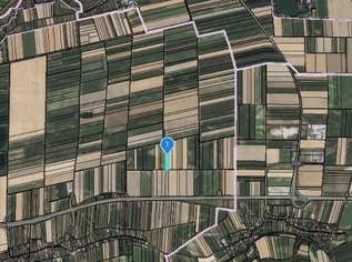 ACKERFLÄCHE IN SEEBARN AM WAGRAM - ZUSAMMENHÄNGENDE LANDWIRTSCHAFTLICHE FLÄCHE, 84084 €, Immobilien-Grund und Boden in 3484 Seebarn am Wagram