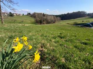 Eine Gelegenheit für Naturverbundene: Baugrundstück am Rande von Kumberg bei Graz, 150000 €, Immobilien-Grund und Boden in 8063 Hart bei Eggersdorf
