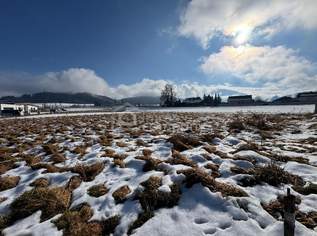 Baugrundstück in wachsender Wohnsiedlung, 95000 €, Immobilien-Grund und Boden in 8741 Weißkirchen in Steiermark