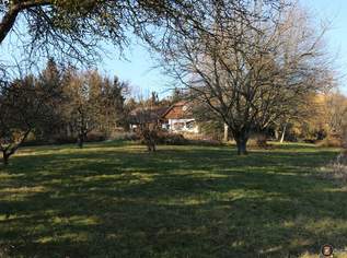 Nähe Jennersdorf: Absolute Einzellage mit einzigartigem Fernblick, 1,6 ha, 260000 €, Immobilien-Häuser in 7561 Poppendorf im Burgenland Nähe Jennersdorf: Absolute Einzellage mit einzigartigem Fernblick, 1,6 ha, 260000 €, Immobilien-Häuser in 7561 Poppendorf im Burgenland