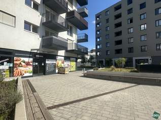 Moderne Gewerbefläche mit hoher Sichtbarkeit und flexibler Nutzung, 5553.43 €, Immobilien-Gewerbeobjekte in 1220 Donaustadt