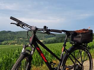 KTM Damen-Crossbike, 750 €, Auto & Fahrrad-Fahrräder in 8411 Hengsberg