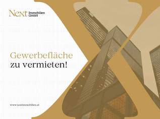 Ideale Geschäftsfläche im Zentrum von Linz zu vermieten!, 0 €, Immobilien-Gewerbeobjekte in Oberösterreich