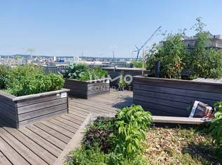 1. MONAT MIETFREI: SCHÖNE 2-ZIMMERWOHNUNG MIT TOP AUSSTATTUNG+ BALKON + TG, 749 €, Immobilien-Wohnungen in 8020 1. MONAT MIETFREI: SCHÖNE 2-ZIMMERWOHNUNG MIT TOP AUSSTATTUNG+ BALKON + TG, 749 €, Immobilien-Wohnungen in 8020