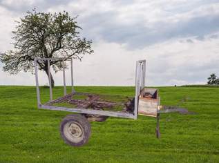 Holzanhänger Anhänger Transportwagen, 770 €, Auto & Fahrrad-Traktoren & Nutzfahrzeuge in 3620 Gemeinde Spitz