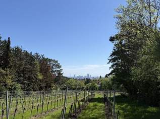 Leben mit Blick auf Weinberge und die Stadt, Terrassen inklusive!, 1900000 €, Immobilien-Wohnungen in 1190 Döbling