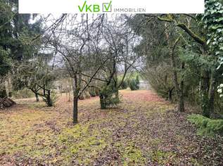 Großzügiges Grundstück in Spattenberg – Gemeinde Alberndorf in der Riedmark, 217000 €, Immobilien-Grund und Boden in 4211 Spattendorf Großzügiges Grundstück in Spattenberg – Gemeinde Alberndorf in der Riedmark, 217000 €, Immobilien-Grund und Boden in 4211 Spattendorf