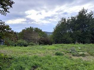 Traumlage + Traumpreis = Ihr Baugrund (aufgeschlossen), 210000 €, Immobilien-Grund und Boden in 3003 Gemeinde Gablitz Traumlage + Traumpreis = Ihr Baugrund (aufgeschlossen), 210000 €, Immobilien-Grund und Boden in 3003 Gemeinde Gablitz