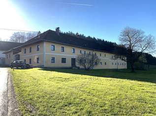 LANDLUFT! Großzügige Landwirtschaft mit ca. 10 ha Grundfläche im wunderschönen Salzkammergut, 1750000 €, Immobilien-Häuser in 4694 Peiskam