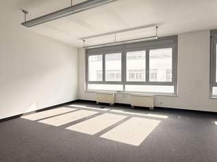 Erfolgsstandort Concorde Business Park – provisionsfrei mieten, 7714.5 €, Immobilien-Gewerbeobjekte in 2320 Schwechat