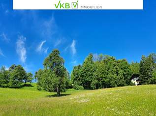 Bad Schallerbach: NEUER PREIS Großflächiges Baugrundstück (6395m²) in Zentrumslage zu verkaufen!, 1600000 €, Immobilien-Grund und Boden in 4701 Bad Schallerbach