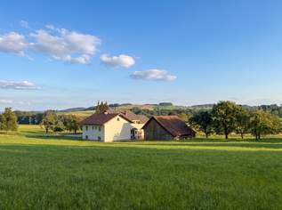 Sacherl mit 4,7ha Grund, Einliegerwohnung und vielen Nutzungsmöglichkeiten, 665000 €, Immobilien-Häuser in 4753 Taiskirchen im Innkreis