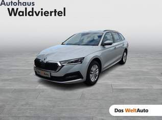 OCTAVIA Combi 4x4 Ambition TDI DSG, 23490 €, Auto & Fahrrad-Autos in 3580 Gemeinde Horn OCTAVIA Combi 4x4 Ambition TDI DSG, 23490 €, Auto & Fahrrad-Autos in 3580 Gemeinde Horn
