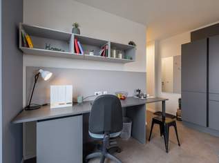 Lumis – Dein neues Zuhause in Graz: Praktische, vollmöblierte Apartments für Studierende und Young Professionals, 686.24 €, Immobilien-Wohnungen in 8010 