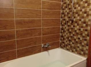 Geschickter Handwerker/maler/Fliesenleger und Montage 