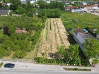 Attrakives Baugrundstück in Krems-Gneixendorf, 400000 €, Immobilien-Grund und Boden in 3500 Am Steindl Attrakives Baugrundstück in Krems-Gneixendorf, 400000 €, Immobilien-Grund und Boden in 3500 Am Steindl