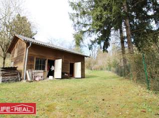 sonniges Grünland eingebetet neben Bach und Wald, 59000 €, Immobilien-Grund und Boden in 4232 Hagenberg im Mühlkreis