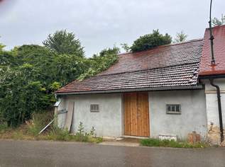 Ich suche ein Presshaus in Niederösterreich 