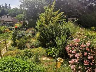 traumhafte 3-Zimmer-Wohnung mit Garten, 155000 €, Immobilien-Wohnungen in 2020 Hollabrunn