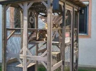 Katzengehege Outdoor , 300 €, Marktplatz-Tiere & Tierbedarf in 3142 Gemeinde Perschling Katzengehege Outdoor , 300 €, Marktplatz-Tiere & Tierbedarf in 3142 Gemeinde Perschling