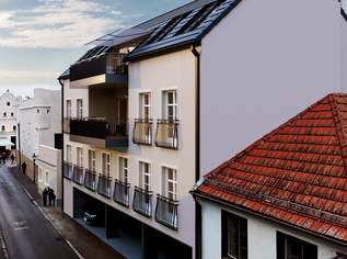 Hochwertige Stadtwohnung /170 m² & Terrasse /Neubau-Erstbezug /KFZ-Stellplatz /Hauptplatz, 895000 €, Immobilien-Wohnungen in 3430 Gemeinde Tulln an der Donau