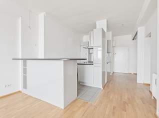 Laurenzi am Fluss, 260000 €, Immobilien-Wohnungen in 1010 Innere Stadt