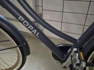 E-Bike Popal Daily nur 20 km gefahren E-Bike Popal Daily nur 20 km gefahren