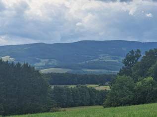 Großes Grundstück in wunderschöner Lage 10 Minuten von Hartberg, 110000 €, Immobilien-Gewerbeobjekte in 8230 Hartberg Großes Grundstück in wunderschöner Lage 10 Minuten von Hartberg, 110000 €, Immobilien-Gewerbeobjekte in 8230 Hartberg
