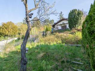 „Besitzen statt träumen: Ihr Gartenparadies am Hackenberg“, 379000 €, Immobilien-Grund und Boden in 1190 Döbling „Besitzen statt träumen: Ihr Gartenparadies am Hackenberg“, 379000 €, Immobilien-Grund und Boden in 1190 Döbling