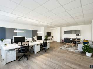 Großzügige Büro/Praxis- bzw. Kanzleiräumlichkeiten im Zentrum, 3654 €, Immobilien-Gewerbeobjekte in 3430 Gemeinde Tulln an der Donau