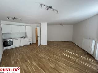 Großzügie 1-Zimmer-Wohnung mit Balkon, 749.14 €, Immobilien-Wohnungen in 1110 Simmering