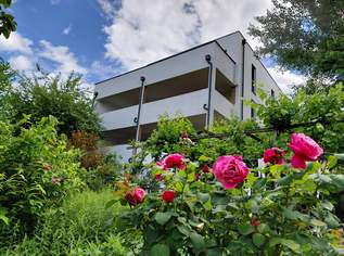 Villa in Hainburg - Bestlage mit unverbaubarem Fernblick, 990000 €, Immobilien-Häuser in 2410 Gemeinde Hainburg an der Donau Villa in Hainburg - Bestlage mit unverbaubarem Fernblick, 990000 €, Immobilien-Häuser in 2410 Gemeinde Hainburg an der Donau