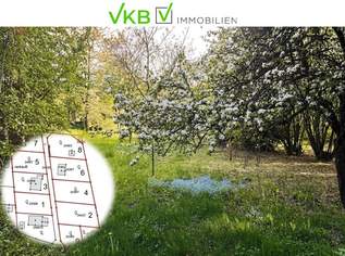 Großzügiges Grundstück nähe Gallneukirchen! - Gemeinde Alberndorf in der Riedmark (GST 2443/1), 220000 €, Immobilien-Grund und Boden in 4211 Spattendorf Großzügiges Grundstück nähe Gallneukirchen! - Gemeinde Alberndorf in der Riedmark (GST 2443/1), 220000 €, Immobilien-Grund und Boden in 4211 Spattendorf