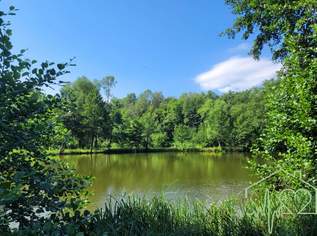 Naturparadies mit Fischteich, Fischerhütte und Wasserrechten - nahe Stadtschlaining, 0 €, Immobilien-Grund und Boden in 7461 Goberling