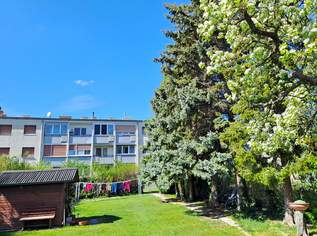 3 Zimmer, Loggia, großer Garten, Garage, 117500 €, Immobilien-Wohnungen in 2486 Katastralgemeinde Pottendorf