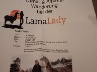 Lama Wanderung, 20 €, Marktplatz-Beauty, Gesundheit & Wellness in 1100 Favoriten
