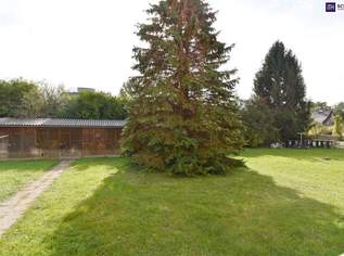 Attraktive RUHELAGE in absoluter STADTNÄHE am MURRADWEG! WG geeignet! Ab sofort verfügbar!, 599 €, Immobilien-Wohnungen in 8045 Attraktive RUHELAGE in absoluter STADTNÄHE am MURRADWEG! WG geeignet! Ab sofort verfügbar!, 599 €, Immobilien-Wohnungen in 8045