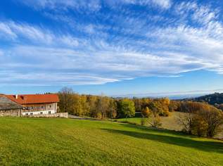 Nahe Linz und doch im Grünen, 3432 €, Immobilien-Häuser in 4221 Steyregg