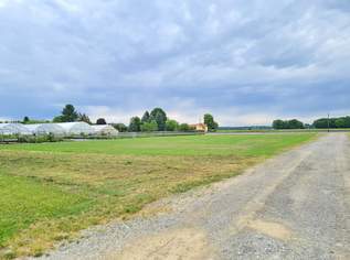 Ebene, sonnige Acker- Wiesen Freilandfläche mit eigener Zufahrt in guter Lage!, 81800 €, Immobilien-Grund und Boden in 8472 Gersdorf an der Mur Ebene, sonnige Acker- Wiesen Freilandfläche mit eigener Zufahrt in guter Lage!, 81800 €, Immobilien-Grund und Boden in 8472 Gersdorf an der Mur
