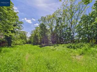 Exklusiver Bauplatz 2 - 502 m² - in NEUNKIRCHEN - Entwicklungsobjekt in Bestlage, 199000 €, Immobilien-Grund und Boden in 2620 Gemeinde Neunkirchen