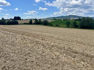 Landwirtschaftlicher Nutzgrund Leonding, 1237860 €, Immobilien-Grund und Boden in 4060 Leonding Landwirtschaftlicher Nutzgrund Leonding, 1237860 €, Immobilien-Grund und Boden in 4060 Leonding