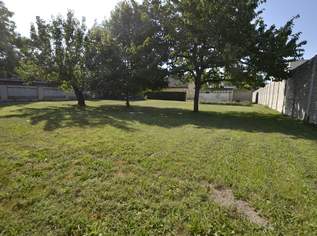 Jahrelang Grundstück suchen oder jetzt entscheiden!, 155000 €, Immobilien-Grund und Boden in 2442 Katastralgemeinde Unterwaltersdorf Jahrelang Grundstück suchen oder jetzt entscheiden!, 155000 €, Immobilien-Grund und Boden in 2442 Katastralgemeinde Unterwaltersdorf