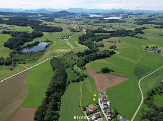 Baugrundstück ohne Bauzwang nähe Mattsee, 276920 €, Immobilien-Grund und Boden in 5221 Lochen am See