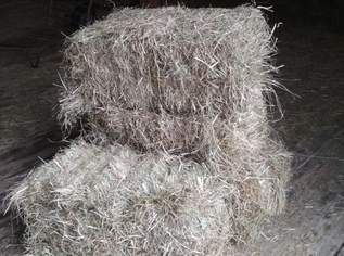 Heu in kleinen Ballen 