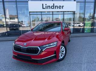 Octavia Selection TDI, 29871 €, Auto & Fahrrad-Autos in 5322 Gitzen Octavia Selection TDI, 29871 €, Auto & Fahrrad-Autos in 5322 Gitzen