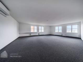Erstbezug! Elegantes 5-Zimmer Büro in Toplage, 5972.5 €, Immobilien-Gewerbeobjekte in 1010 Innere Stadt