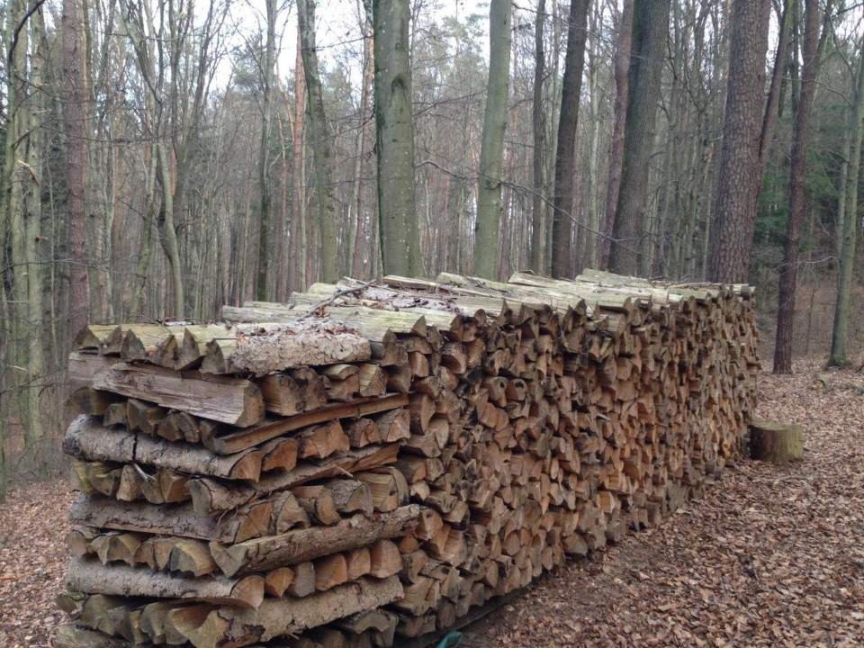 Brennholz WEICH zu verkaufen Brennholz WEICH zu verkaufen