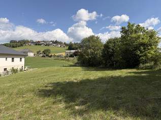 Baugrundstück in Zentrumsnähe, 99990 €, Immobilien-Grund und Boden in 4150 Berg bei Rohrbach Baugrundstück in Zentrumsnähe, 99990 €, Immobilien-Grund und Boden in 4150 Berg bei Rohrbach