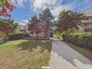 Zentrale Lage trifft ruhiges Wohnen - 3-Zimmer-Eigentumswohnung mit Loggia & Tiefgarage, 295000 €, Immobilien-Wohnungen in 7100 Gemeinde Neusiedl am See Zentrale Lage trifft ruhiges Wohnen - 3-Zimmer-Eigentumswohnung mit Loggia & Tiefgarage, 295000 €, Immobilien-Wohnungen in 7100 Gemeinde Neusiedl am See