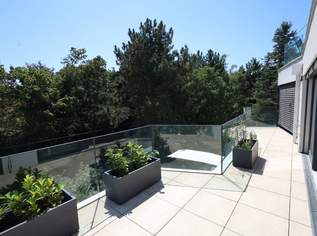 Provisionsfrei: Moderne 3-Zimmer-Wohnung am Dehnepark mit Terrasse & Balkon Provisionsfrei: Moderne 3-Zimmer-Wohnung am Dehnepark mit Terrasse & Balkon